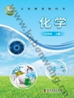 仁爱版科普版九年级化学上册