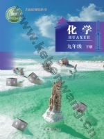 北京版九年级化学下册