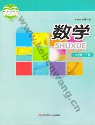 华师大版七年级数学下册