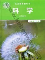教科版一年级科学上册