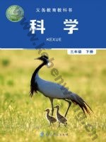 教科版三年级科学下册