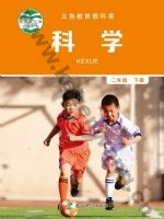 教科版二年级科学下册