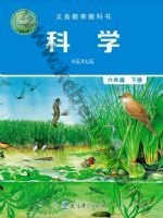 教科版六年级科学下册