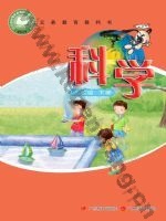 粤教版粤教粤科版三年级科学下册