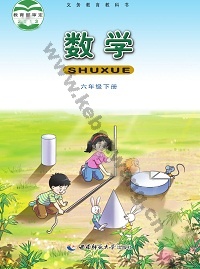 西师大版六年级数学下册