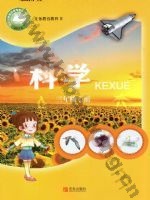 青岛版三年级科学上册