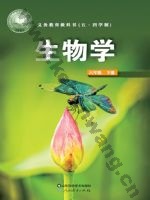 鲁科版六年级生物下册