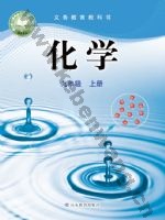 鲁教版九年级化学上册